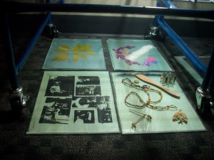 Cyanotype prints from a workshop at Madison Public Library wait to be washed.